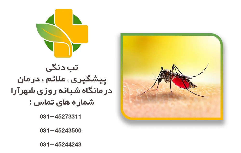 همه چیز راجع به تب دنگی
