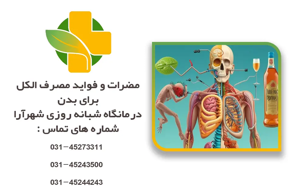 مضرات و فواید مصرف الکل برای بدن