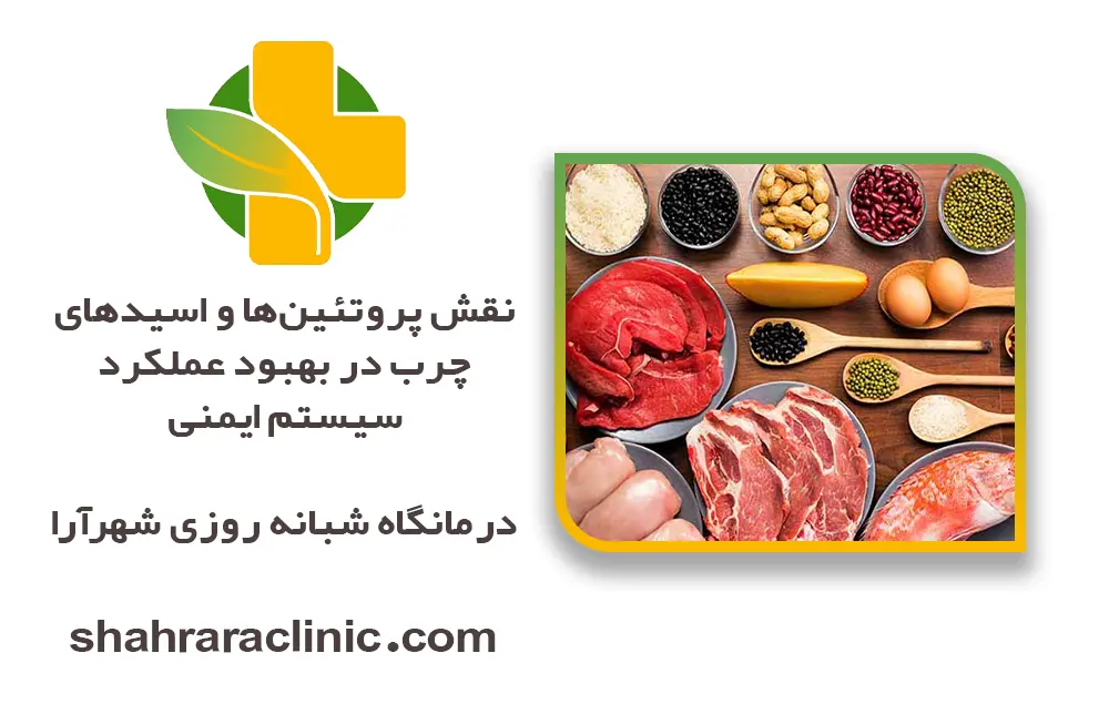 نقش پروتئین‌ها و اسیدهای چرب در بهبود عملکرد سیستم ایمنی
