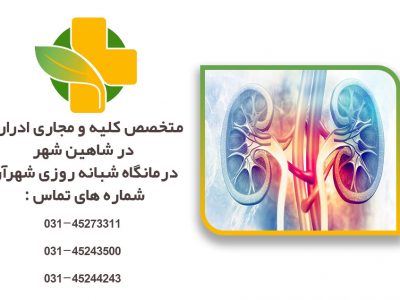 دکتر کلیه و مجاری ادراری در شاهین شهر
